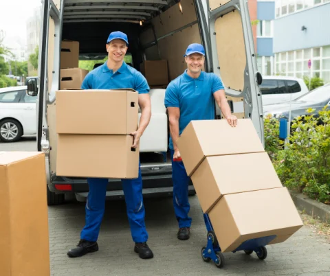 Content Processing & Storage