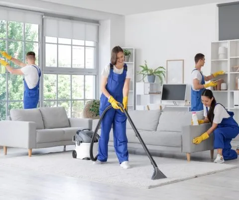 House Cleaning (HCT)
