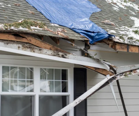 Wind & Hail Restoration